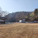 느티나무요정들 펜션 이미지