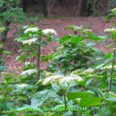 도구머리공원1-2 이미지