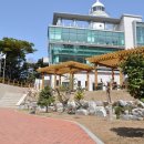 울릉군청 Daum카페