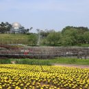 안성맞춤랜드 이미지