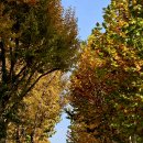 하상바오로의 집 이미지