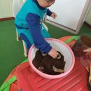 어매 농장