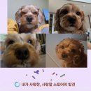 국재