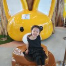 용인아이일대일공인중개사사무소 | 용인 기흥역 인천공항2 터미널 시간표 / 타는 곳 / 대한항공 기내식