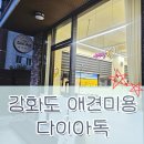 다이아독 | 강화도 추천 애견미용실 다이아독 내돈내산 후기