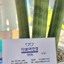 다보여안경 이미지