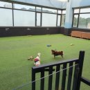 바로나도 수원영통 이미지