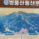 용구농장 | 담양 병풍산