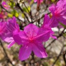세븐일레븐(김해삼문부영점) | 김해하수구막힘 장유삼문동 싱크대 막힘 뚫었어요!