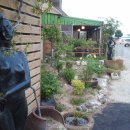 들꽃이 있는 바다 이미지