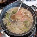 마리조아 이미지