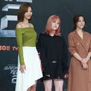 고우리 이미지