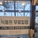 곤드레밥집 | 부모님이 좋아하는 인천 서구청맛집 곤드레밥집 후기