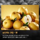 호호과일