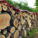 13월의아침 이미지