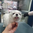 싹독싹독 이미지