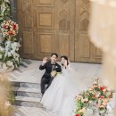 토브하우스 이미지