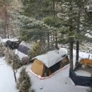 아버지의 숲 산정캠프 이미지