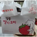강릉딸기랑 네이버블로그