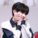 홀리몰리 이미지