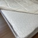 포렌하우스 이미지