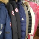 백조 명품 세탁 이미지