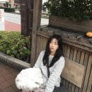 Finding Nemo? 🐠 이미지
