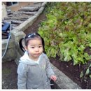 땡구야놀자 이미지