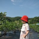 밤나무골 농장 이미지