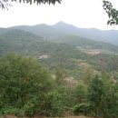 향로농장 이미지