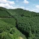 국립산림과학원 산림바이오소재연구소 뉴시스