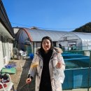 [청양/가볼만한곳] 칠갑산 얼음분수축제 인생샷찍으러 다녀왔다가 군밤먹고온 후기
