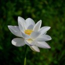 동우대학 이미지