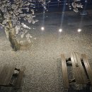 꽃지늘봄펜션 이미지