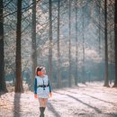 대전목장 이미지