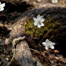 백암2리 경로당 이미지