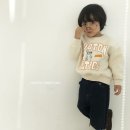 동탄나무로 이미지