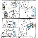 모몽가