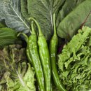 만인산농업협동조합 이미지