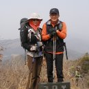 꼴랑지