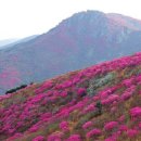 부송동-07 이미지