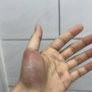 와 어제 탬버린 ㅈㄴ 쳤는데 ㅇㅈㄹ됐어 이미지