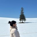 시크릿호프 | 삿포로 대욕장 호텔 몬토레 에델호프 | 일본 숙소 할인 예약 프로모션 꿀팁