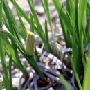 도봉-도봉-서울도봉-2040 이미지