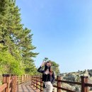 덕포냉삼 이미지