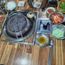 은행나무갈매기