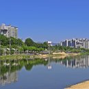 중랑천 Daum카페