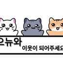 돌담동물의료센터 이미지