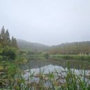 노작호수공원 이미지