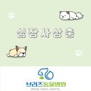 브리즈 동물병원 이미지